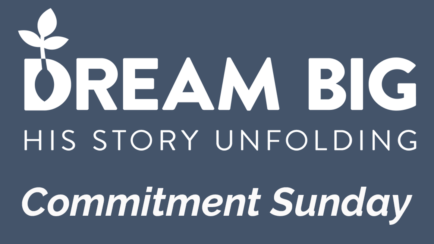 Primary Goal Reveal